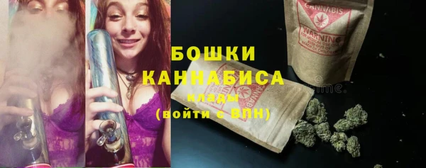 бошки Бронницы