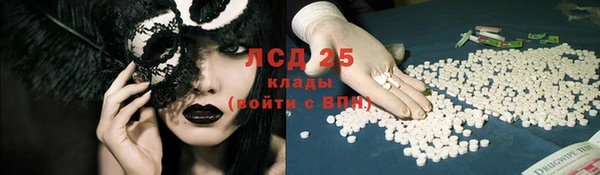 бошки Бронницы