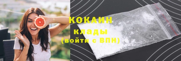 бошки Бронницы