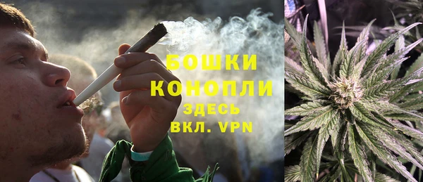 бошки Бронницы